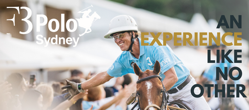 F3 Polo Sydney